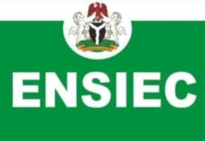 Late arrival of materials, poor voter turnout mar Enugu LG Poll