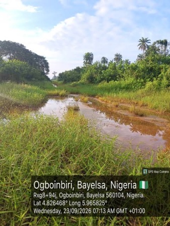 Group reports fresh oil spill along Oando pipeline in Bayelsa
