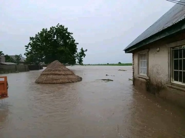 Flood submerges houses in Benue