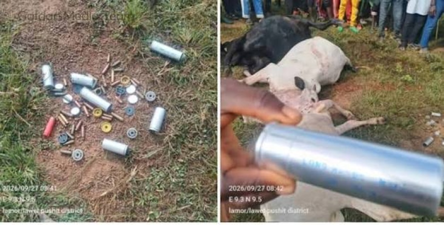 Fulani victims urge probe into alleged use of teargas during livestock attacks in Mangu