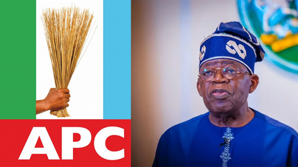 Tinubu hails APC’s four-seat victory in by-elections