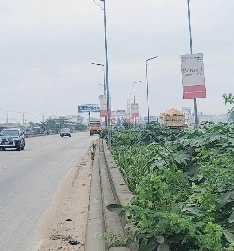 Darkness hits Lagos-Ibadan Longbridge as more streetlights disappear