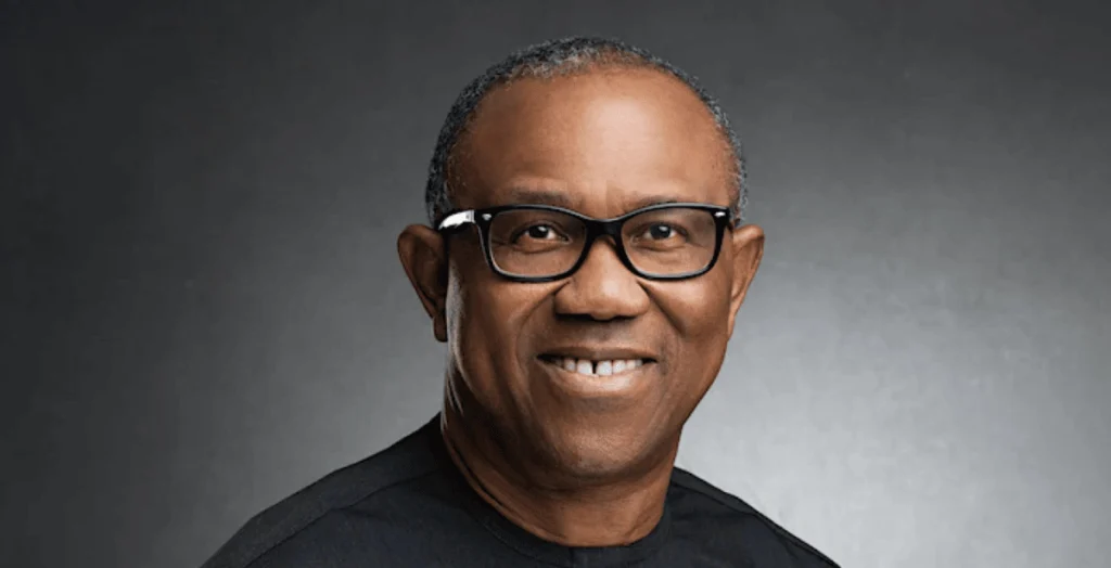 Only leaders elected through free, fair polls deserve ‘Excellency’ title — Peter Obi