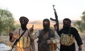 BREAKING: 11 feared killed by terrorists in Adamawa