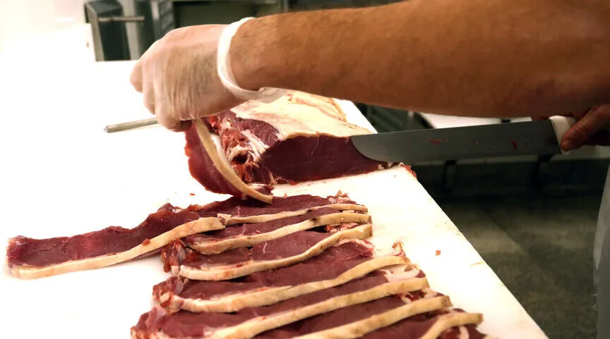 EU to suspend imports of Brazilian meat, animal products over health concerns