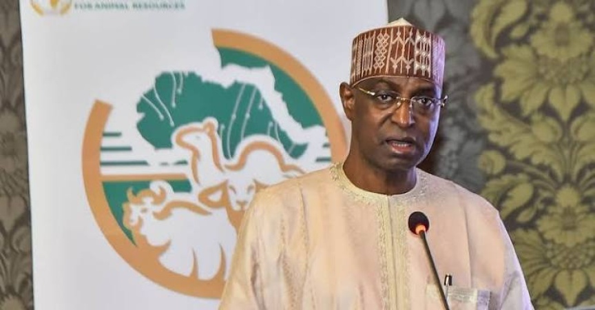 FG plans single-digit loans for livestock sector
