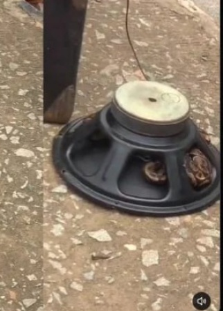 Panic in Onitsha market as live snake discovered inside pastor’s loudspeaker