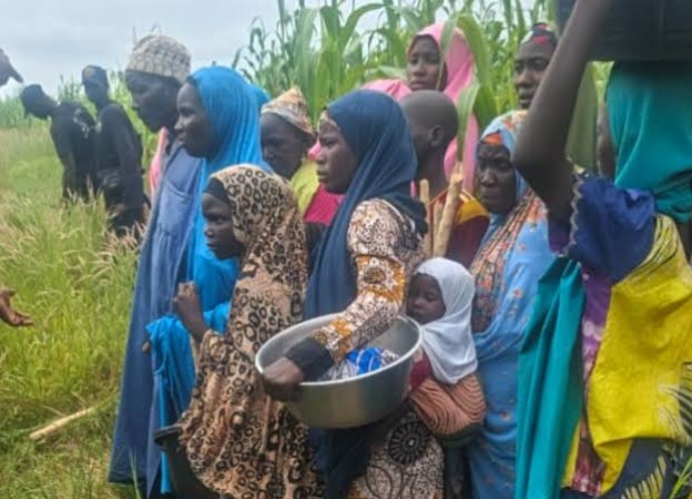 Traditional rulers hail Military, DSS for foiling another mass abduction in Katsina