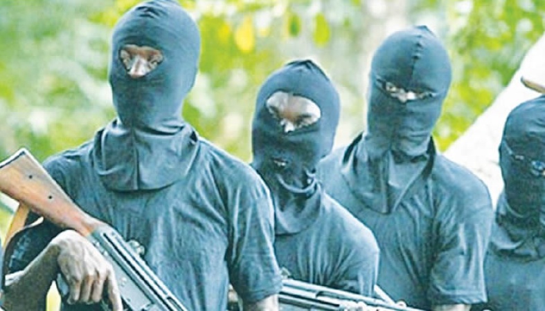 JUST IN: Suspected terrorists kill 15 farmers in Borno