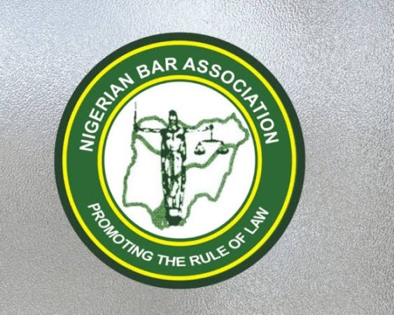 ‘Nigerian democracy requires strong institutions to survive,’ by NBA
