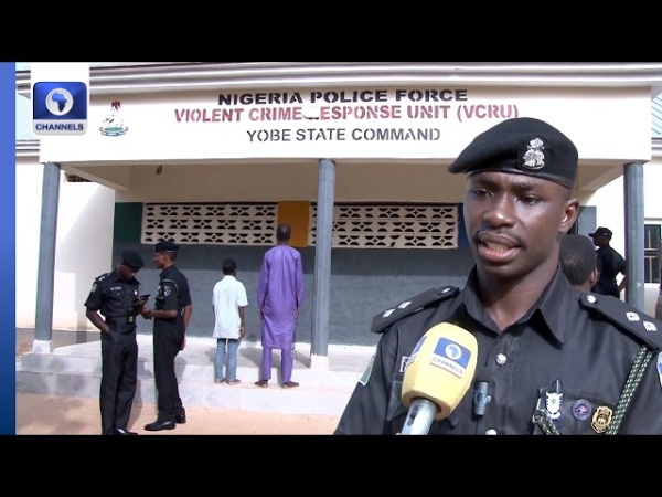 Nine-year-old boy kills two stepmothers, two brothers in Yobe