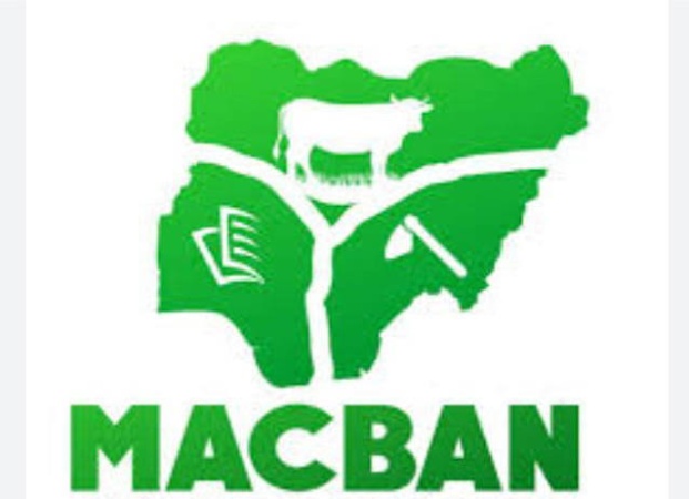 MACBAN suspends cattle movement to Bukuru market after attacks