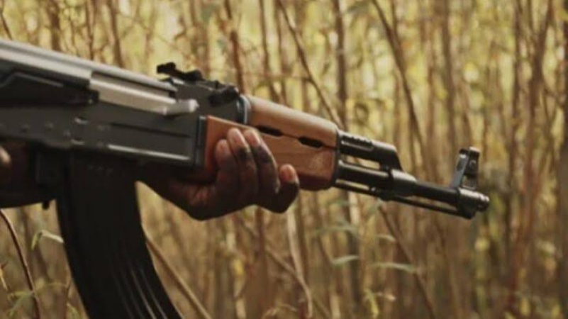 Gunmen kill expatriate, two others in Kebbi attack