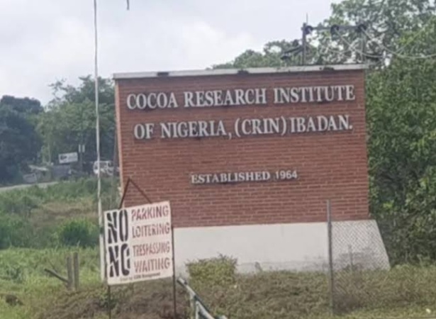 Gunmen kidnap three CRIN workers in Oyo, demand N120m ransom