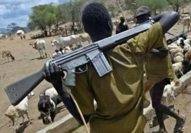 Gunmen strike in Benue, kill four-year-old, two others in Otukpo
