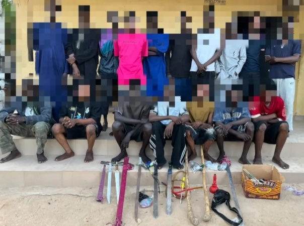 Nigerian criminals deemed too 'high risk' deported on chartered aircraft