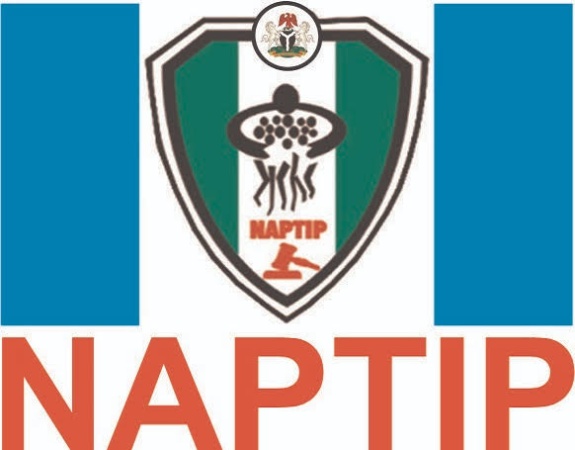 NAPTIP warns against out-of-court settlements of sexual violence cases