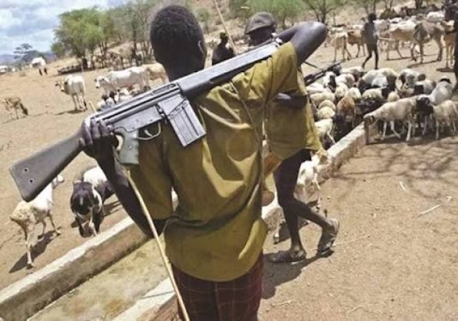 Benue: Suspected herdsmen kill nine in fresh Ukum attacks 