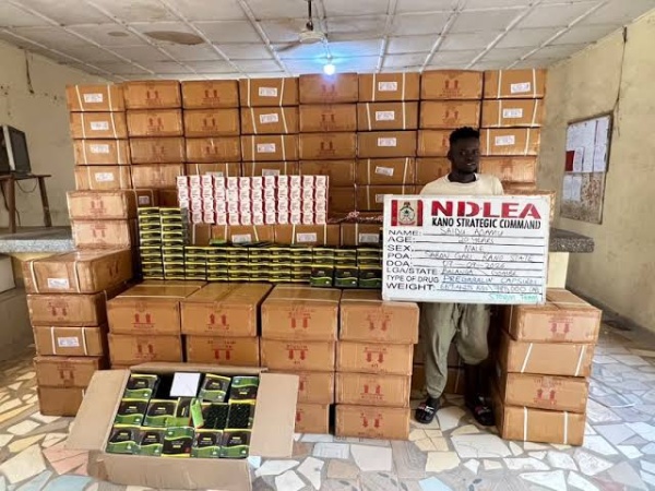 NDLEA seizes large consignments of illicit drugs in 7 states