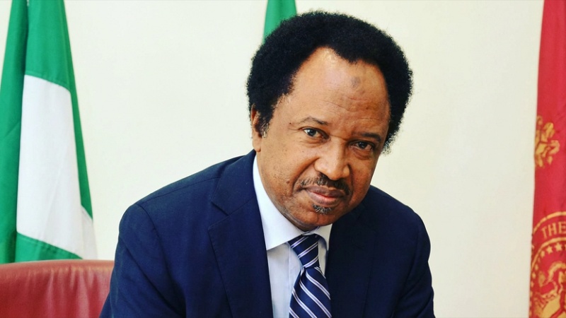 INEC List: ‘Stop fighting a lost battle,’ Shehu Sani tells omitted candidates