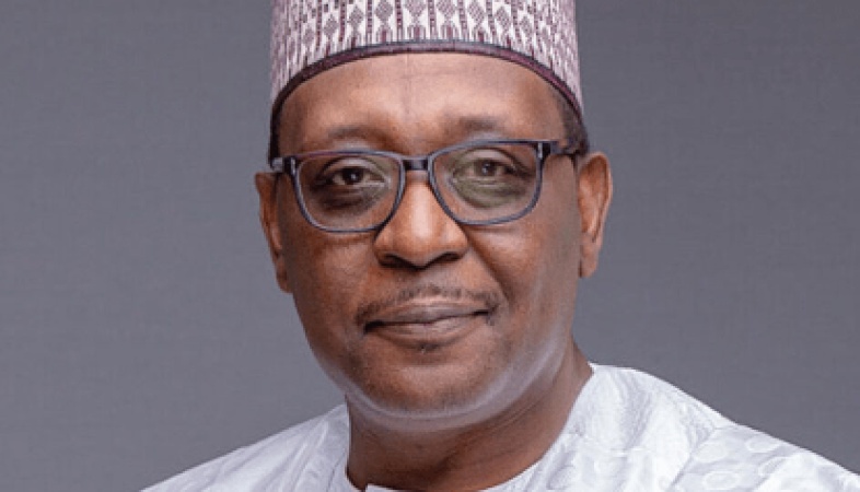 FG to inject additional $3bn into health sector by 2030 — Pate