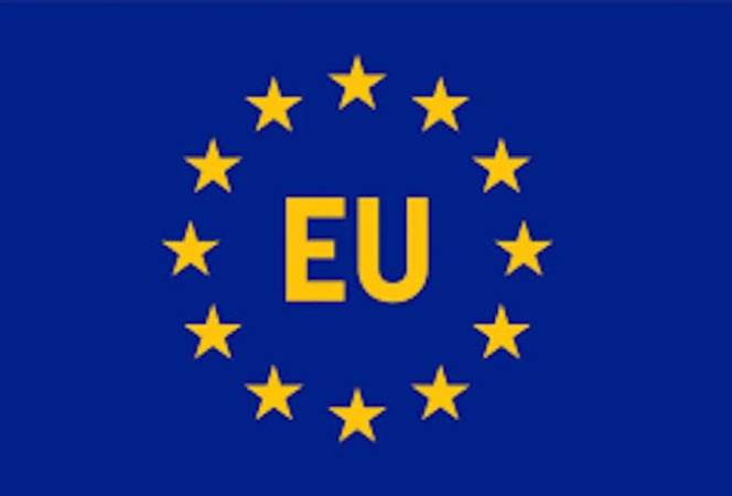 EU envoy raises alarm over 129m global out-of-school girls, 12m child marriages annually