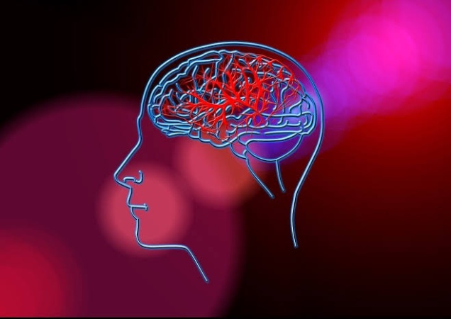 Stroke treatment costs exceed monthly earnings in Africa — Study