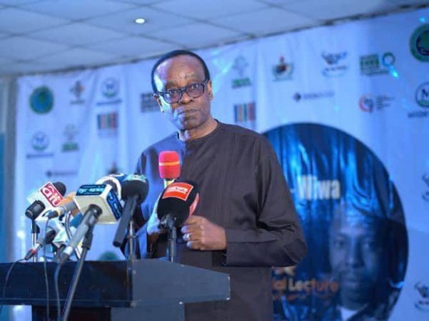 Nigerian Environmentalist Bassey receives Vienna Lifetime Achievement Award