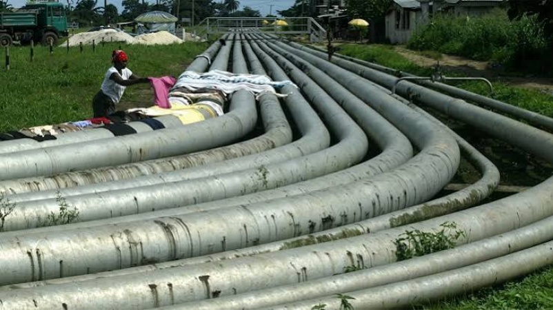 Unpaid arrears: Pipeline host communities issue NNPCL, PINL two-week ultimatum