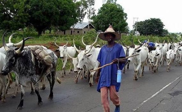 Tension in Mangu as Fulani herdsmen allege attack by security forces