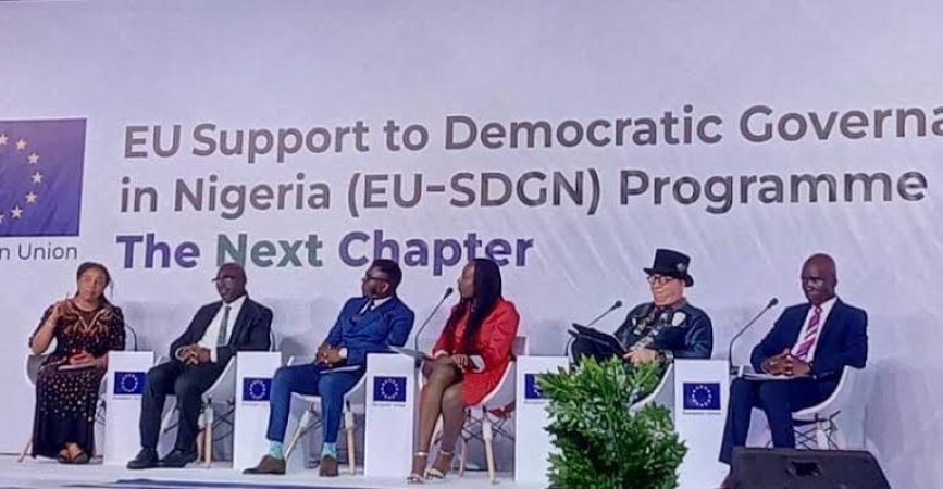 Ekiti, Osun Polls: Votes sold for N50,000, says EU observer group