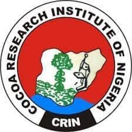 Six days after abduction, three CRIN staff regain freedom after payment of N50m ransom