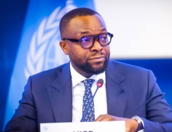 FG to deploy 3,700 telecom towers to connect 20m Nigerians