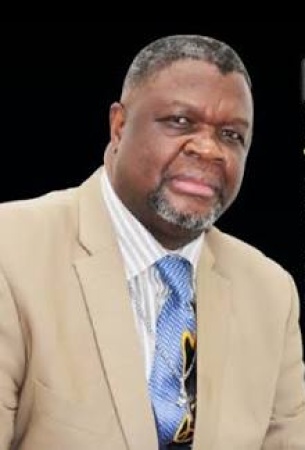 African Industrialist Mutanga advocates local processing of African minerals to boost industrial growth