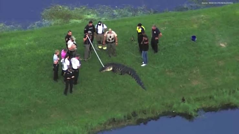 Alligator kills 71-year-old man fishing in Florida