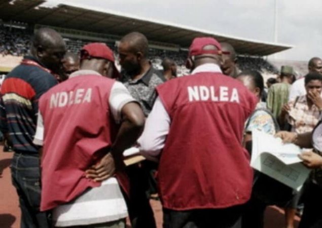 NDLEA intercepts Saudi-bound cannabis in palm oil keg, N6.98bn tramadol shipment