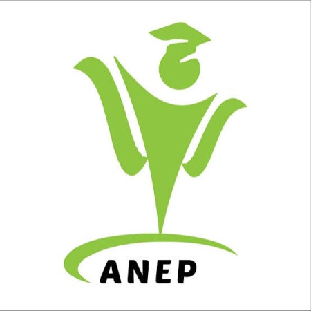 Lagos to host African Neurodiversity Conference as experts push for action beyond awareness