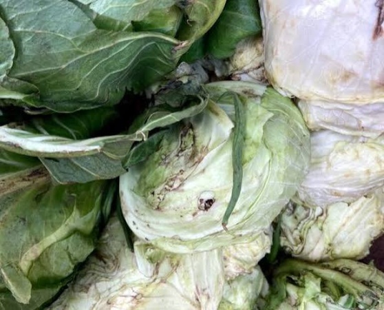 Lagos traders, consumers count losses from spoilt fruits, vegetables