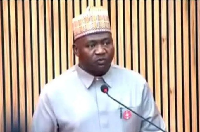 Nigeria seeks closer security, economic ties with Sahel states