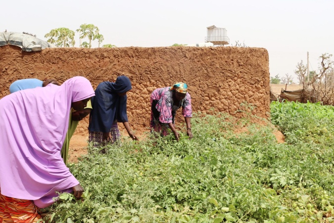 How Gella women farmers defied Boko Haram to rebuild a community on the brink