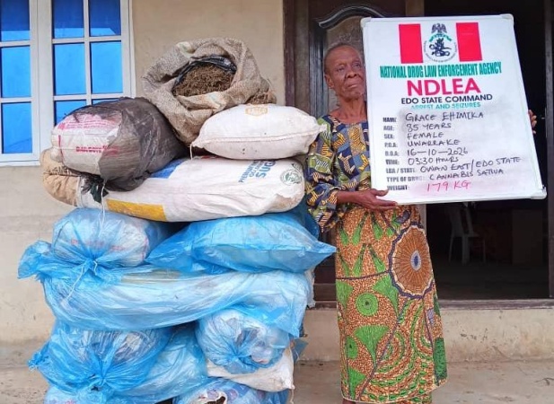 NDLEA nabs 85-year-old woman, 5 others, seizes 407kg cannabis