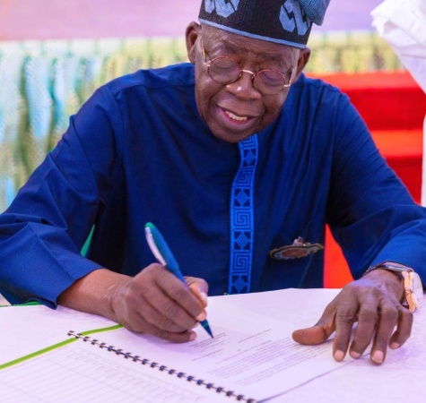 Tinubu extends tenures of NIS CG and NCoS CG