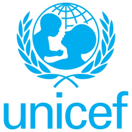 UNICEF seeks curriculum review to bridge graduate skills gap