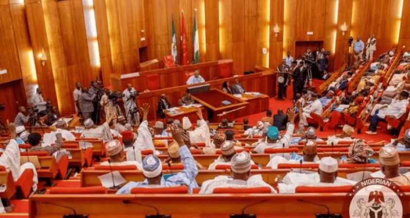 Senate rejects NMDPRA’s PMS import records, summons agencies heads