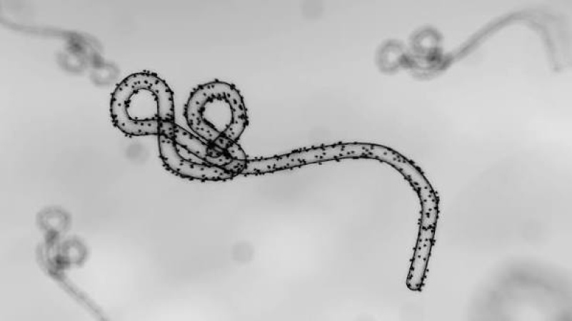 Ebola: Public distrust threatens containment drive as N10bn fund faces scrutiny
