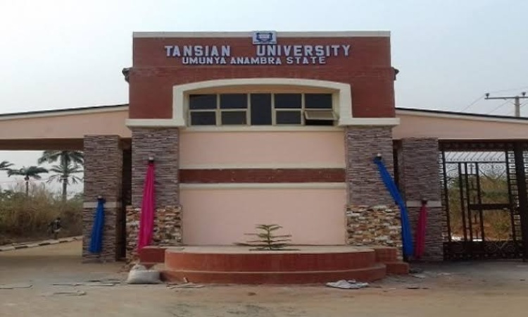 Tansian University crisis deepens as rival bodies claim ownership