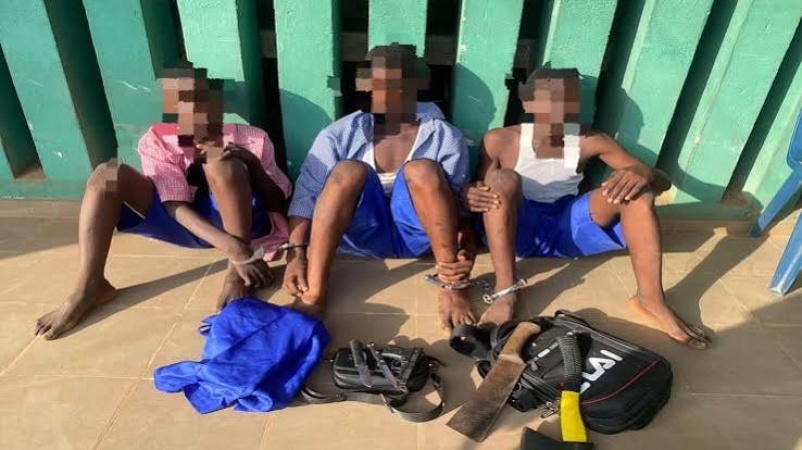 Police foil suspected cult initiation in Ogun, arrest three students