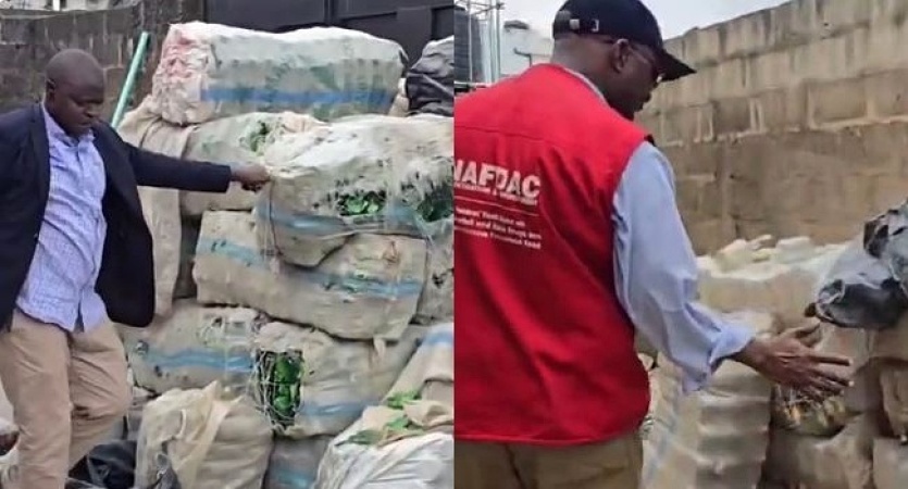 NAFDAC uncovers empty alcohol bottles stockpiled for suspected counterfeiting