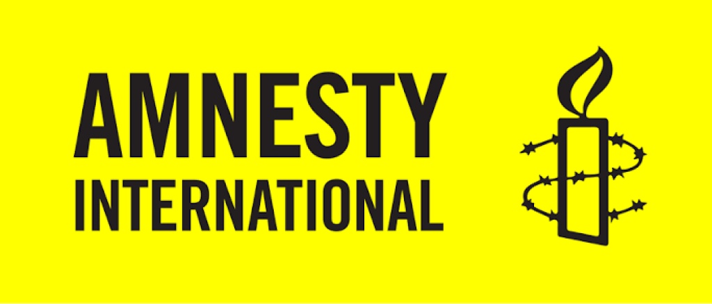 Amnesty decries wanton killing of teenager by DPO in Borno