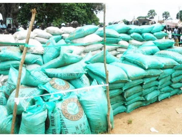 Applying more fertiliser does not guarantee higher yields, stakeholders advised